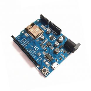 Development Board